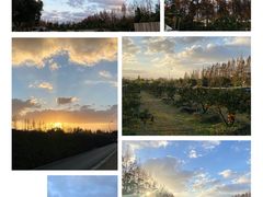 -前小桔亲子创意农场·草莓采摘·露营烧烤