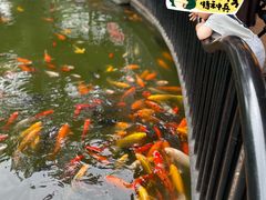 -成都动物园