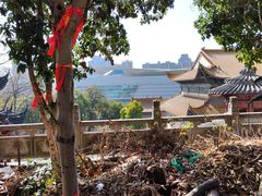 -宝通禅寺