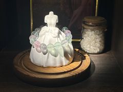-雪灵魔法世界SHELLY’S TAROT(大良桂畔里店)