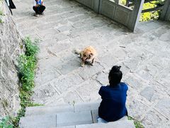 -秦岭终南山世界地质公园翠华山景区