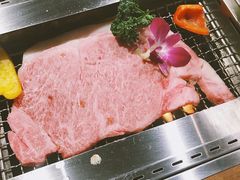 -俺的焼肉(銀座9丁目店)