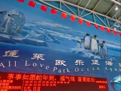 -蓬莱欧乐堡海洋极地世界