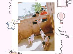 -云漫湖生态度假公园