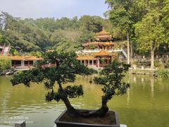 -深圳仙湖植物园