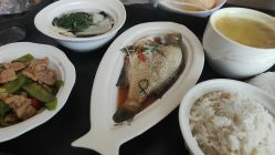 -星妈汇国际月子中心(龙珠店)