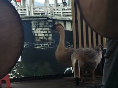 -桂园白粥·潮汕老味道