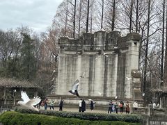 -音乐台