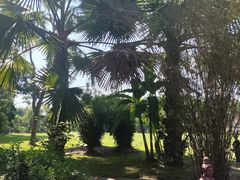 -中国科学院西双版纳热带植物园