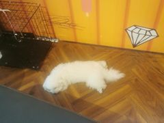-NRG 健身私教CLUB(云山路店)