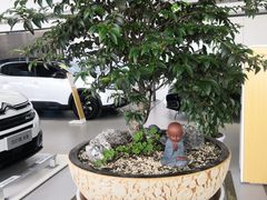 -上海先进东风标致雪铁龙4S店(青浦店)