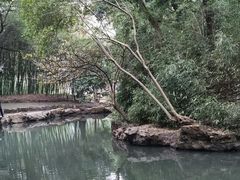 -兰亭风景区