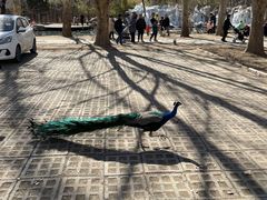 -银树楼(紫玉山庄东区店)