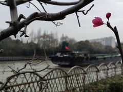 -枫桥景区