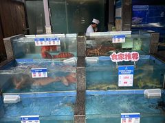 -侨美·唐荔园·40年地道粤菜