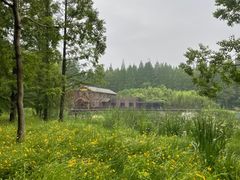 -黄海国家森林公园