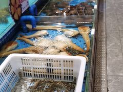 -鲜得莱渔港·小平岛海胆馆(七贤岭店)