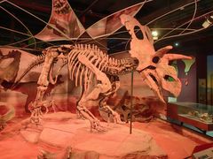 -正佳自然科学博物馆