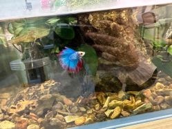 点击看大图 -Lumi露米·美甲美睫品质店