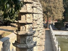 -泰山风景名胜区-普照寺