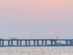 -宝安西湾红树林湿地公园