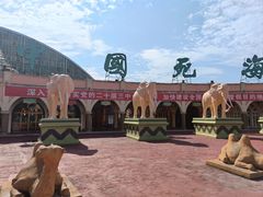 -中国死海旅游度假区