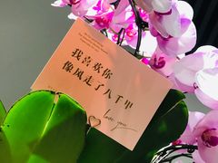 -南京书画院金陵美术馆