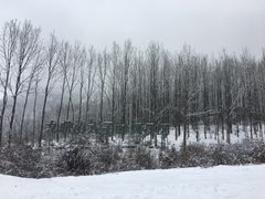 -太子岭滑雪场