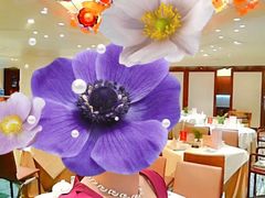 -南海渔村(珠江新城店)