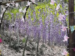 -众神白水涧景区