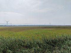 景点-野鸭湖国家湿地公园