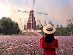 -渔岛海洋度假区