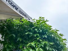 -Bamboo Today Cafe(国创园店)