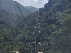-大鄣山卧龙谷景区