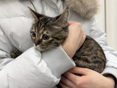 -芭比堂动物医院·CT·微创中心(新顺分院)