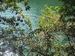 -广州市流溪河国家森林公园