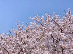 -龙美术馆(西岸馆)