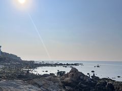 -养马岛旅游度假区