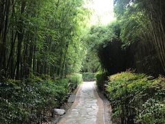 -金沙遗址博物馆
