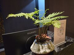 -汤泉良子·沐足·颂钵疗愈·SPA(珠江新城店)