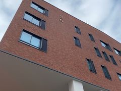 -上海市静安区教育学院附属学校(江宁校区)