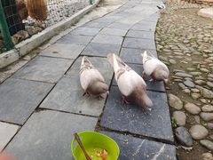-漓咖啡西餐厅 · 桂林香格里拉