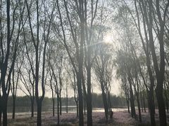 -东郊湿地公园