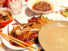 -杨氏青龙虾·羊蝎子(托乐嘉店)