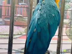 -南通洲际绿博园