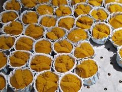 -地中海传奇水汇