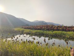 -径山花海