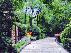 -天目湖涵田半山温泉