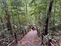 -武吉知马自然保护区