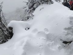 -西岭雪山大飞水景区